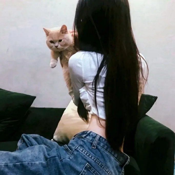 华伦王子
